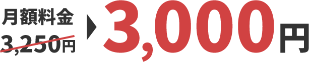 月額3,000円